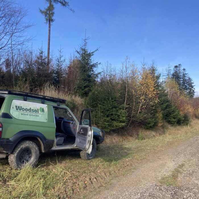 jeep woodsol odstavený na lesnej ceste